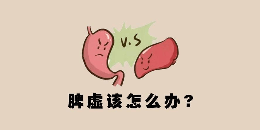 有一种脾虚叫寒湿困脾,送你一味中成药,温化寒湿,横扫脾胃疾病_功效_藿香_感觉