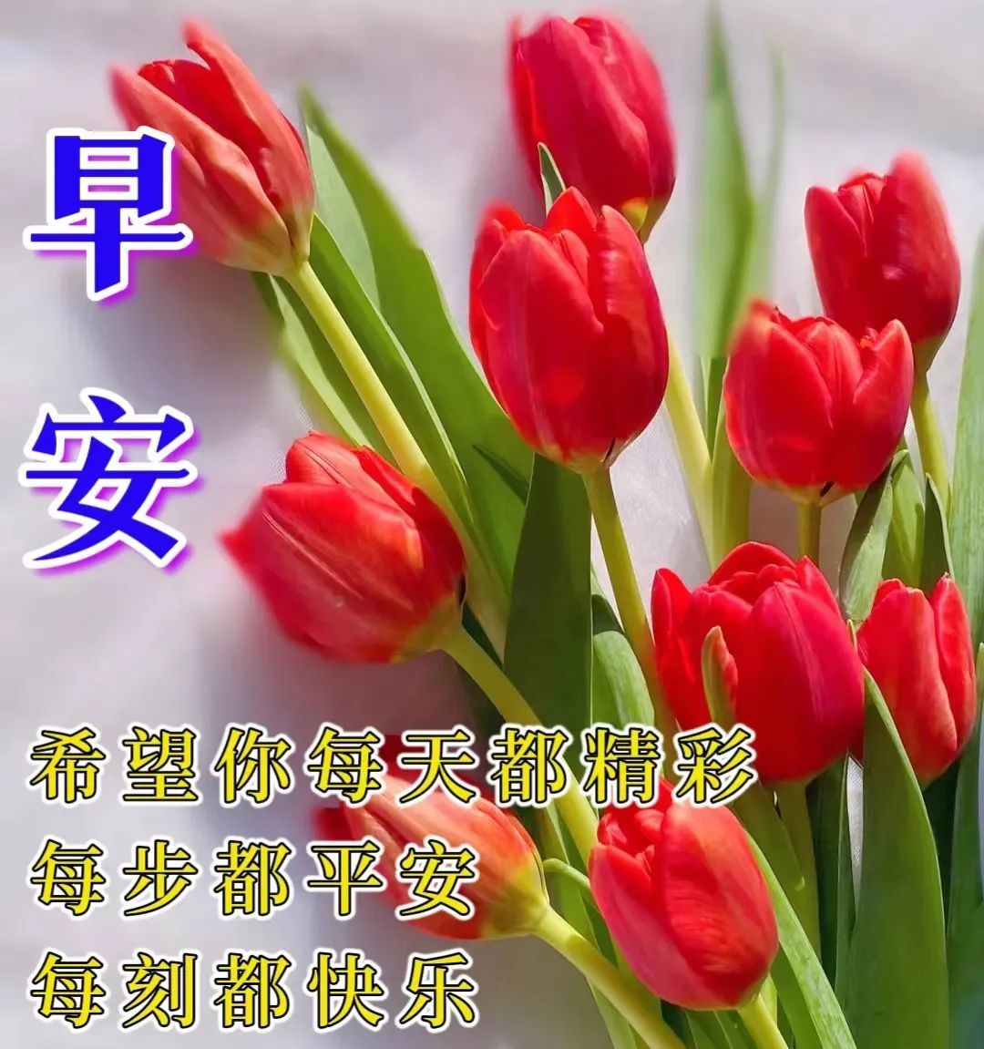 1月16日周一早上好,精选早安暖心祝福图片带字带早上好语录_问候_平安