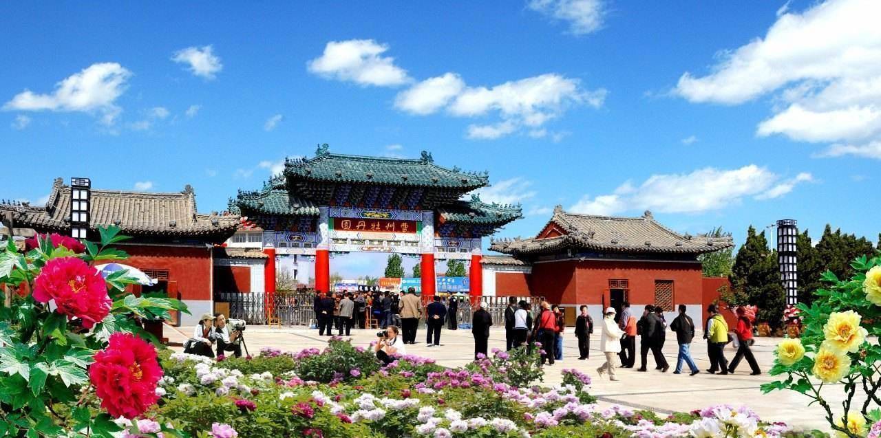 彩礼张口就要15万,不是青岛,烟台_菏泽_中国_牡丹