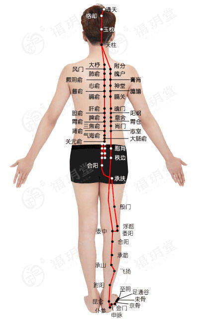 干货收藏|常用艾灸配穴法,艾灸其实很简单!_脏腑_表里_三焦