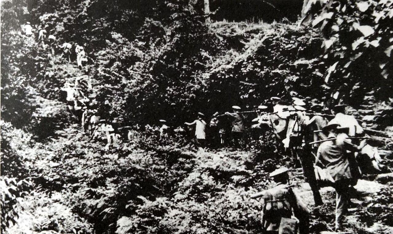 1950年,张才千密令剿匪部队:奔袭冉家坡,坚决消灭悍匪田彩臣_土匪