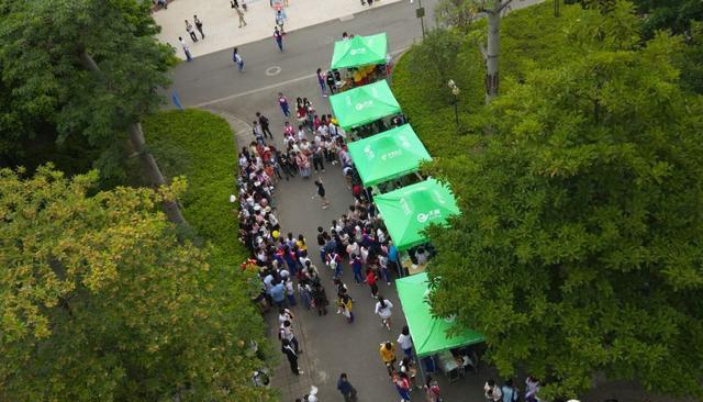 3月工商學院賞櫻花,10月肇慶學院看紫荊,4月肇中杜英花開成最美花海!