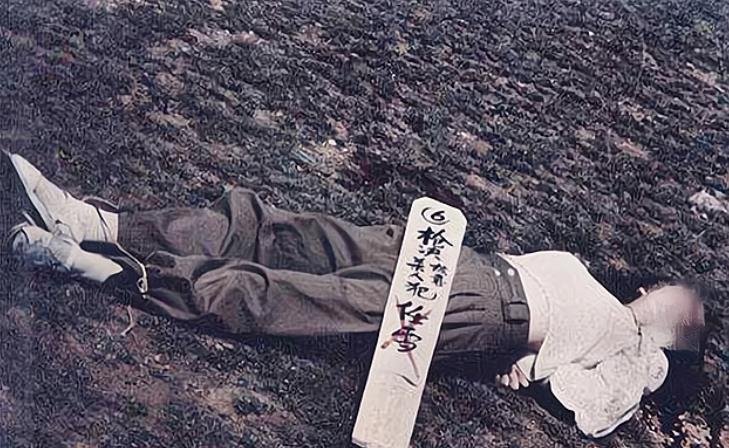 突然主动张开嘴,众人不解,行刑战士却明白了_任雪_戴德昌_父母