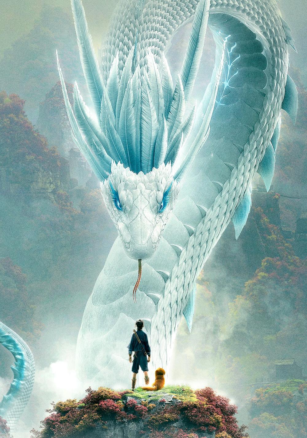 化龙_营口_龙骨