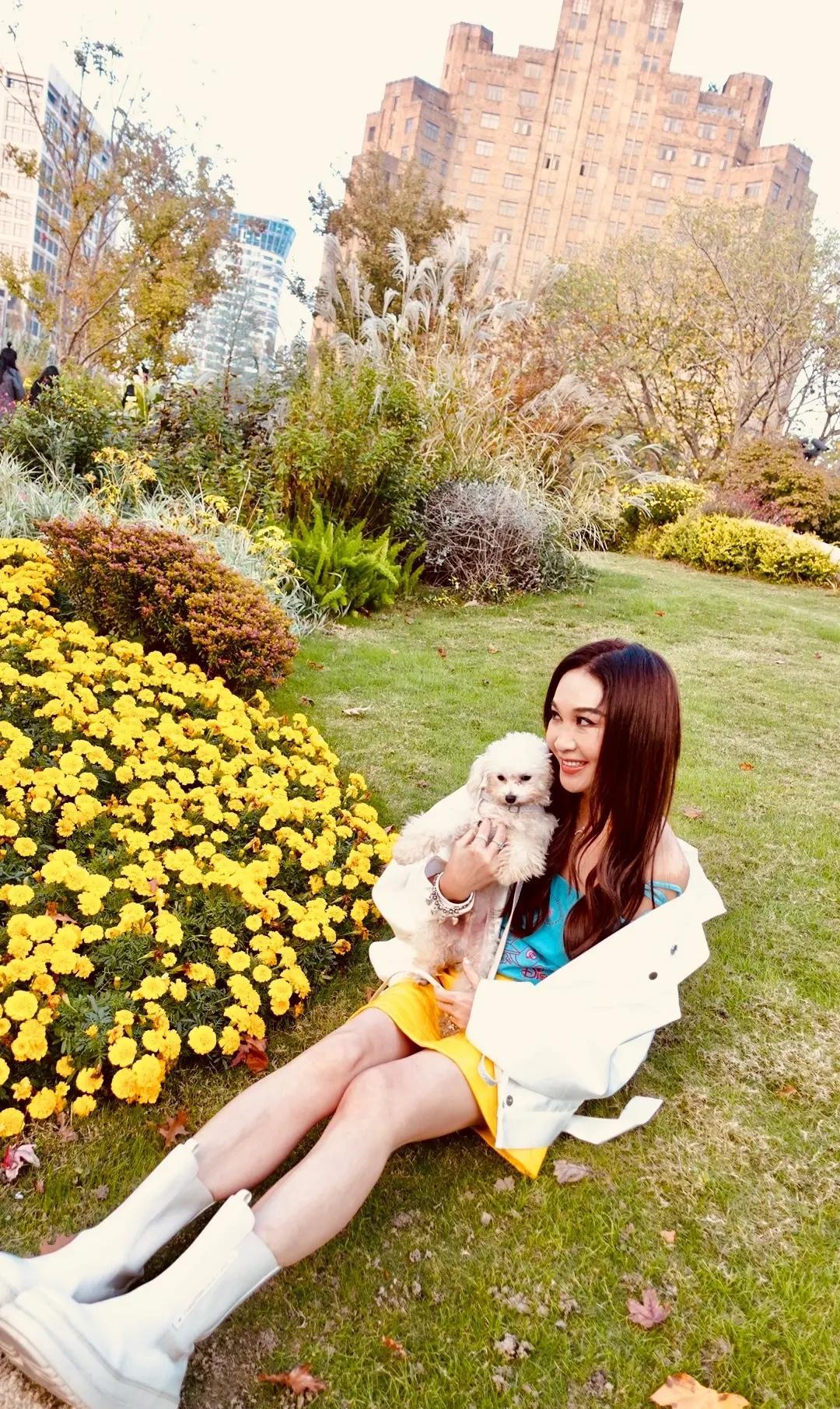 56岁温碧霞外出遛狗,身穿黄色短裙对镜头比v,背影像20岁少女_陈法蓉