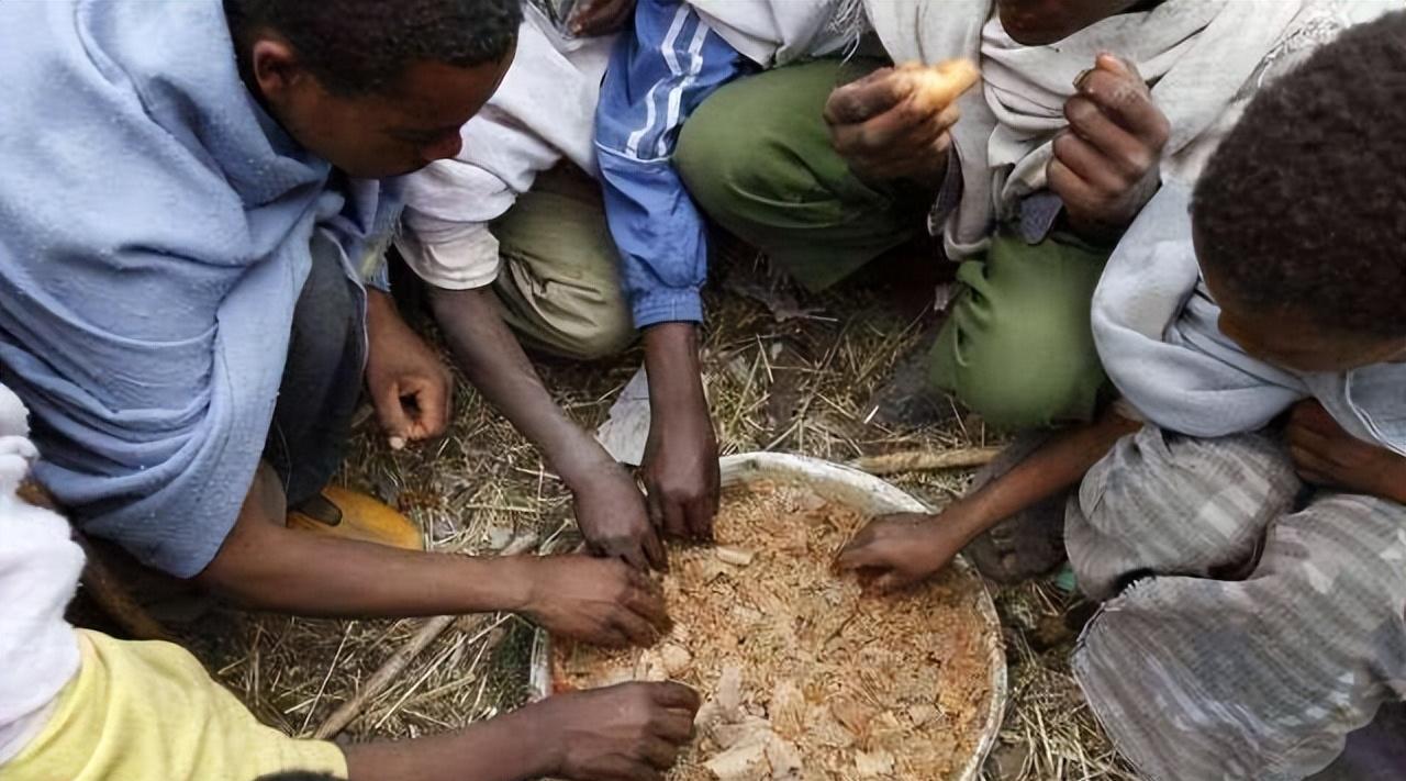 面对粮食危机!非洲人宁愿大量种植芋头,为何不种植水稻小麦呢?