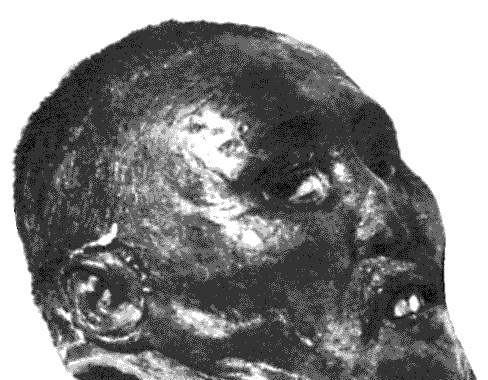 民国一悍匪:祸乱新疆,省长无奈,外国特工诛之,头颅今成藏品_杨增新