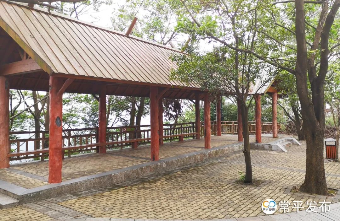 常平特色旅游景点等你打卡!_宗祠_东莞_登山