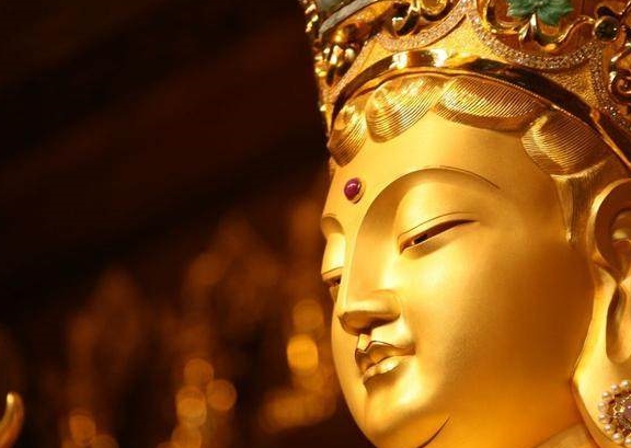 佛教中的生物_佛说世间生物_佛家说世界生灭变化