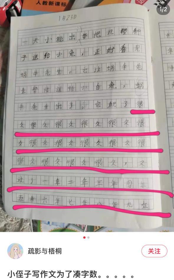 学到了吗（厉害了我的国作文800字）你真了不起作文800字高中 第2张