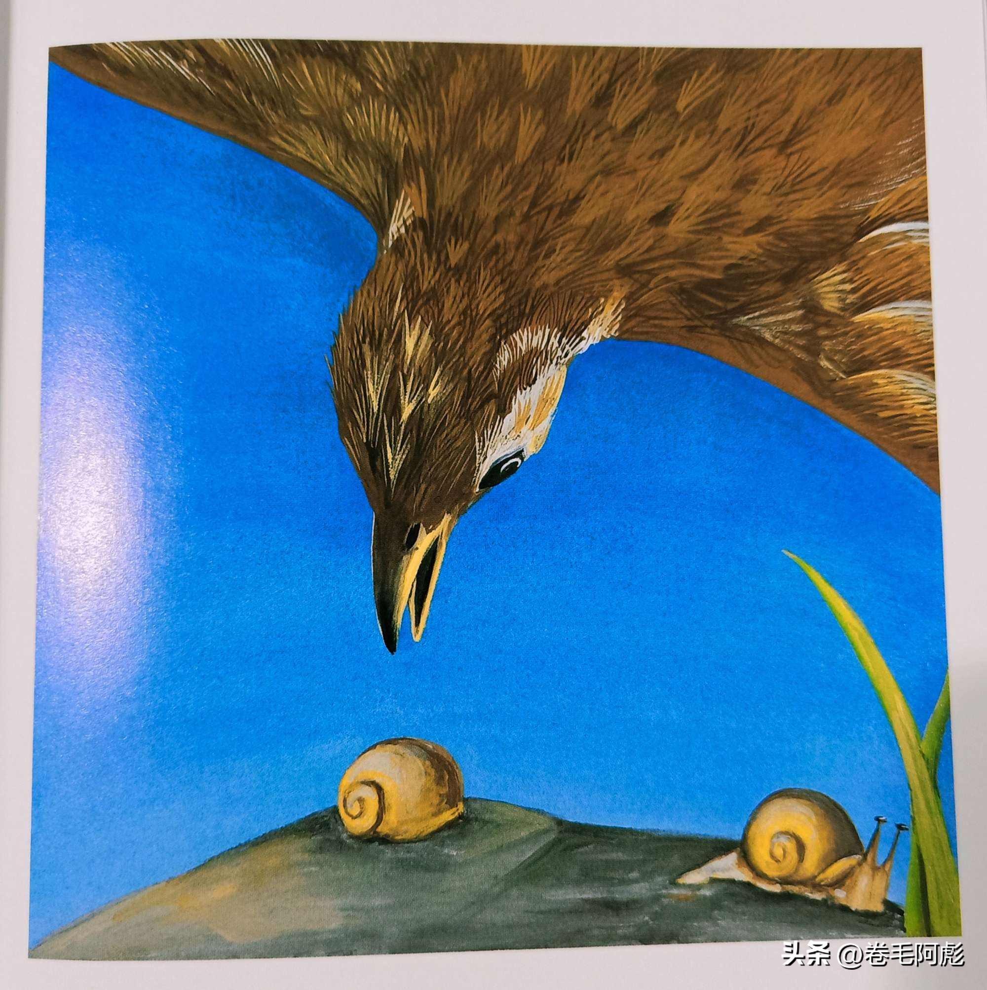 铁线虫：最恶毒的寄生虫，控制寄主跳水身亡，也许人类也难逃噩运_搜狐网, image size:2000x2006