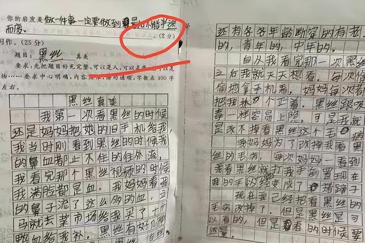 学到了吗（厉害了我的国作文800字）你真了不起作文800字高中 第8张