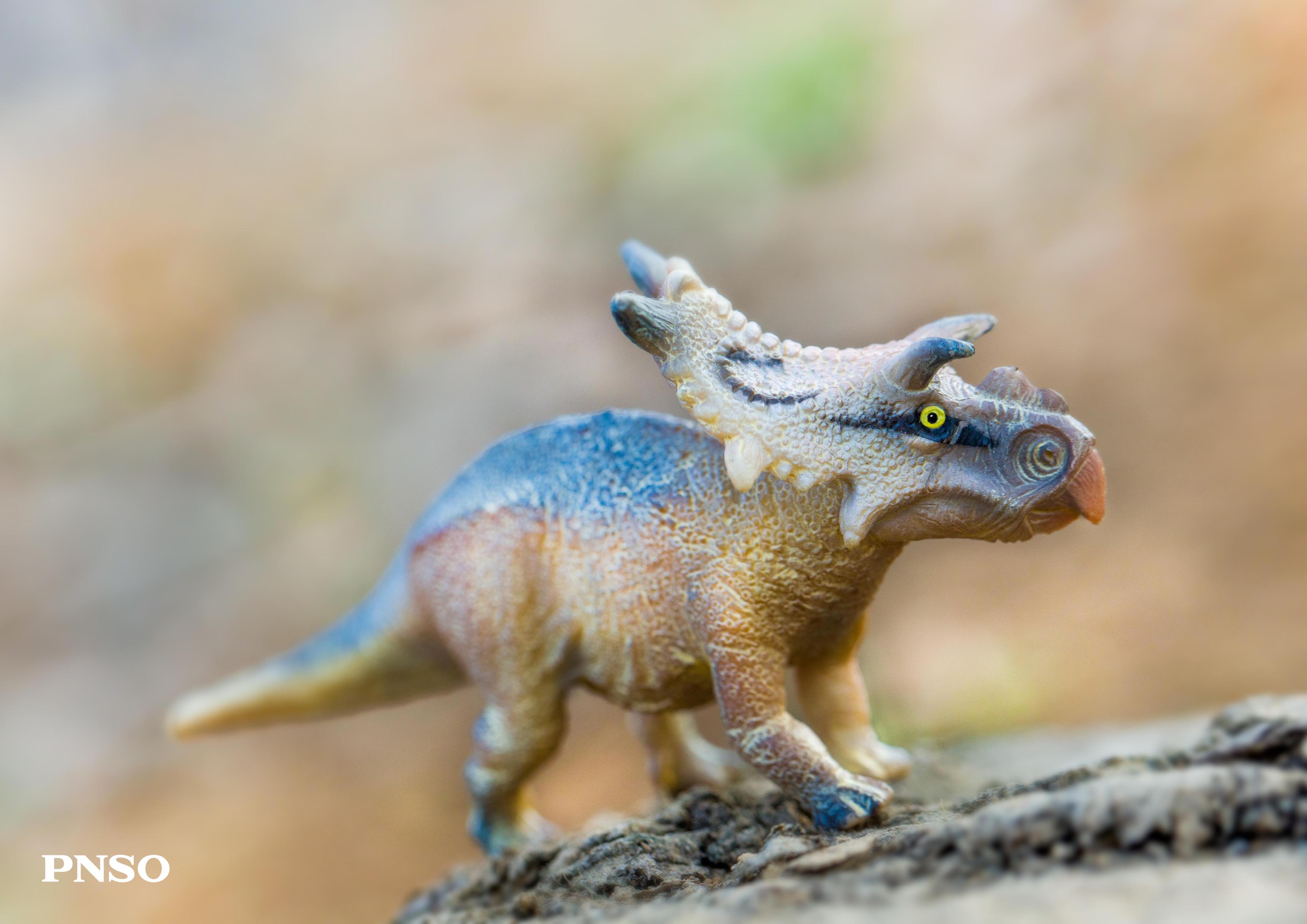 pnso模型摄影:48只小恐龙