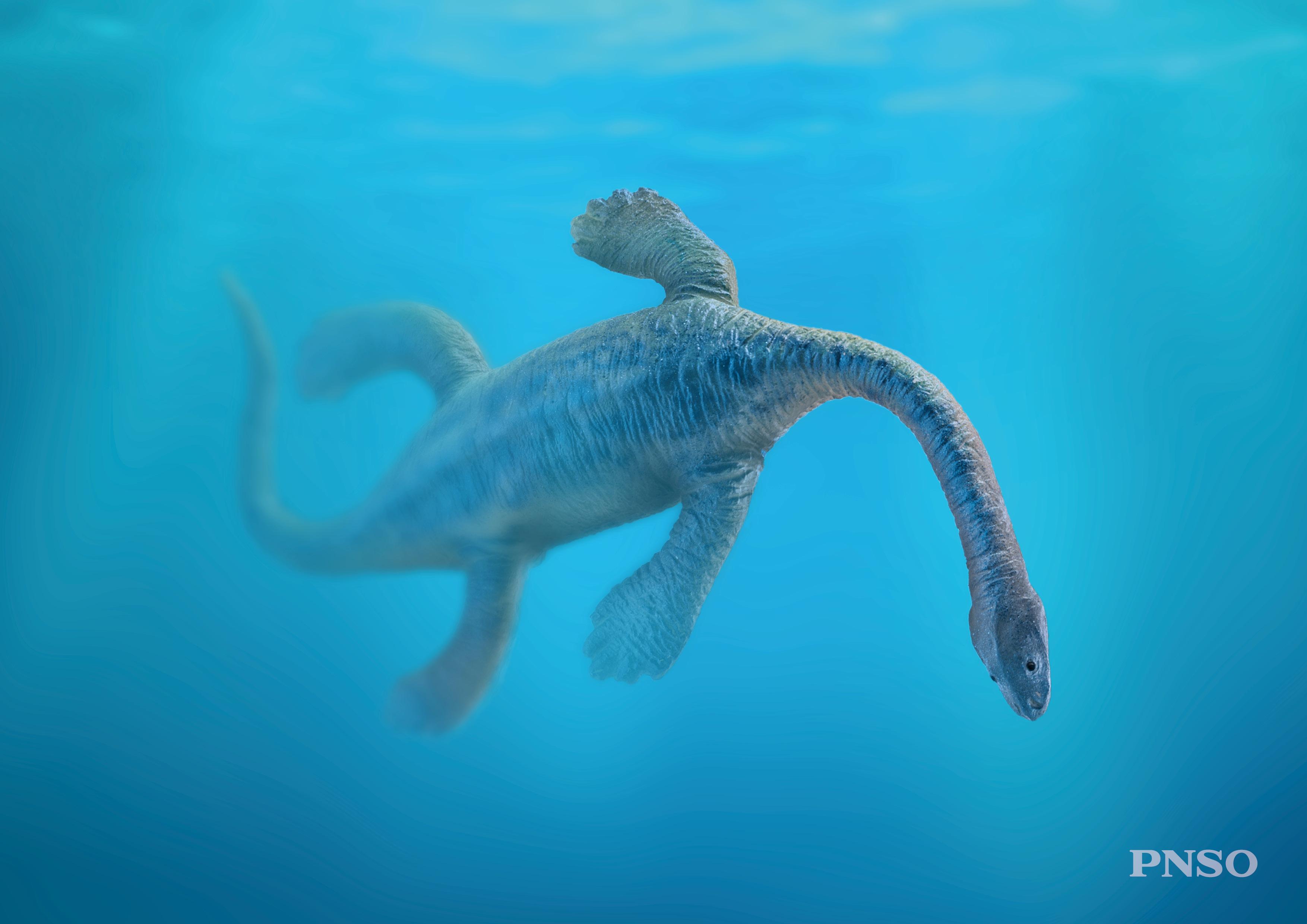 pnso模型摄影:48只小恐龙_角龙_杜克_虔州