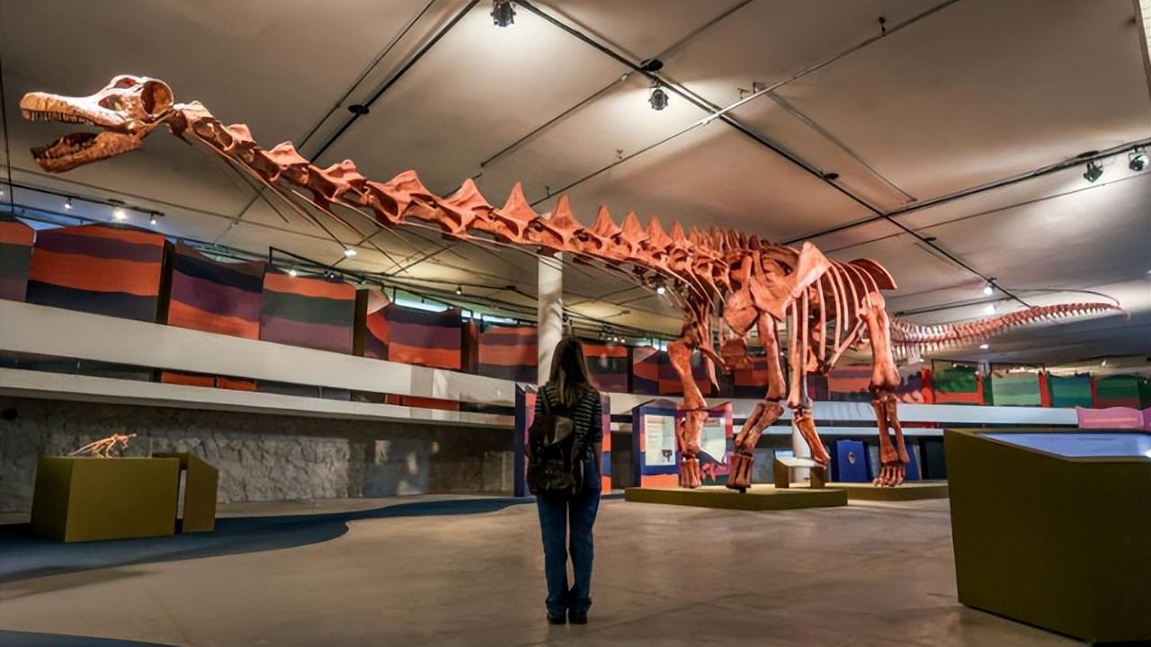 巴西圣保罗办"世界最大恐龙"展 巴塔哥泰坦龙化石复制品展出_身长