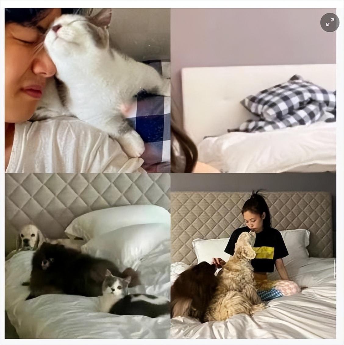 然后,提到最近泄露的一张v躺在jennie床上休息的照片说道:"那么就说明