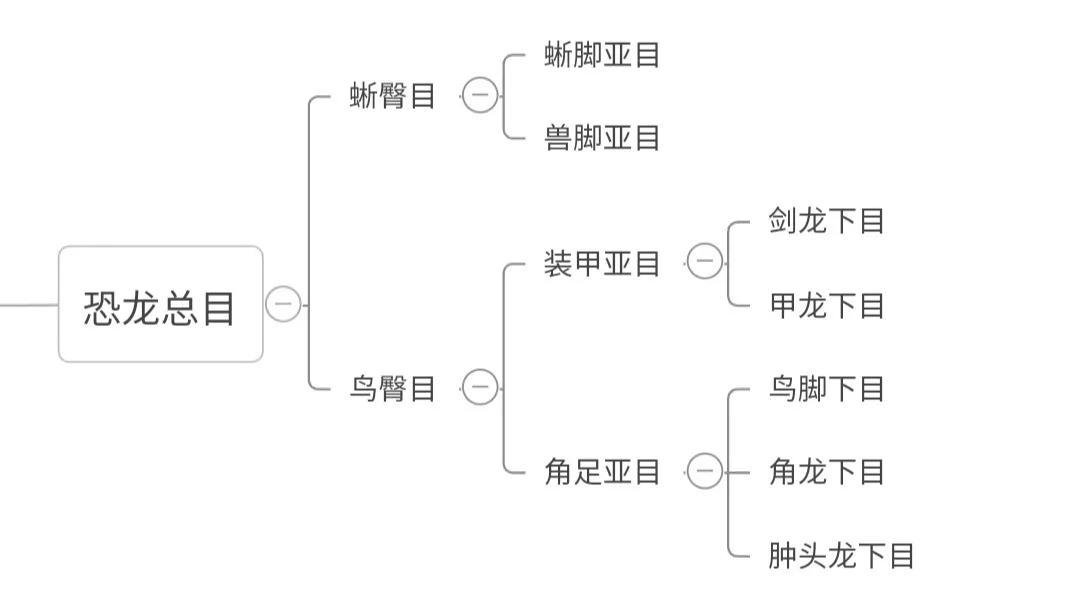 龙下目