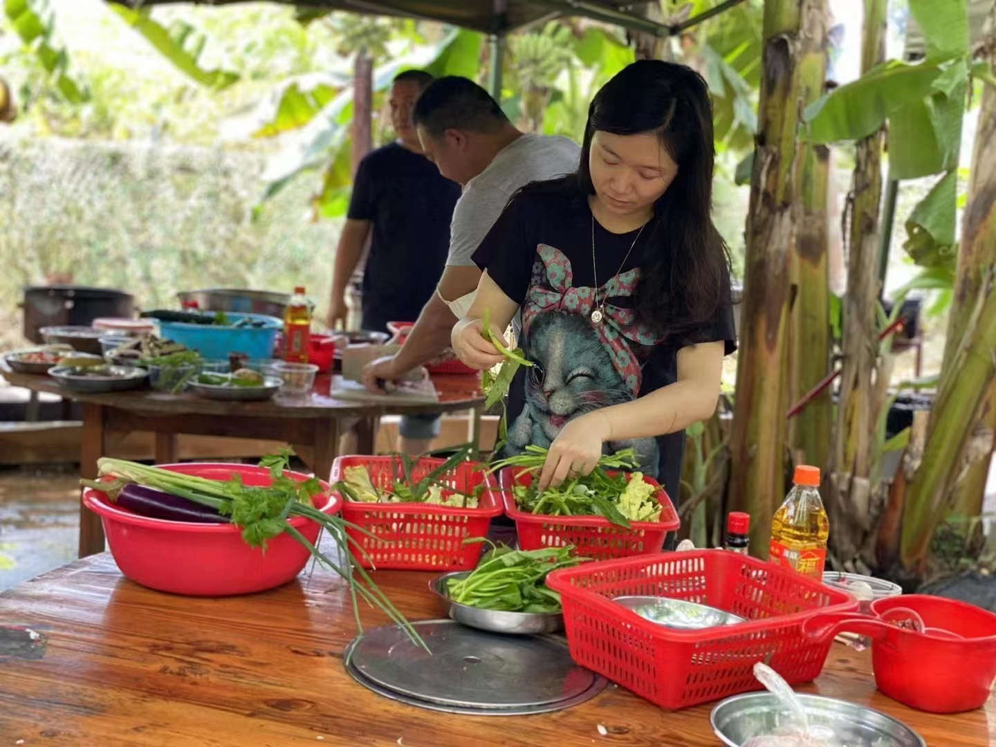 深圳大树生态农场—农家乐蔬菜生果采摘