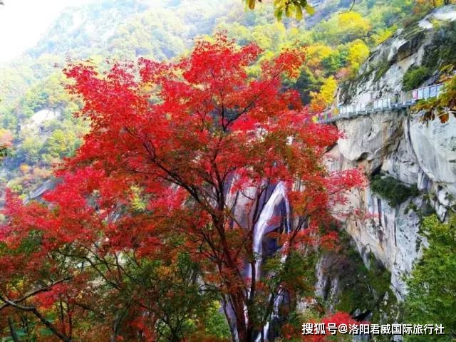 洛阳十大出名旅游景点，每一个都不要错过