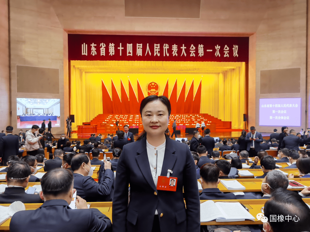 山东省人大代表杨慧丽:完善产业生态,推动国产化工业软件发展_应用