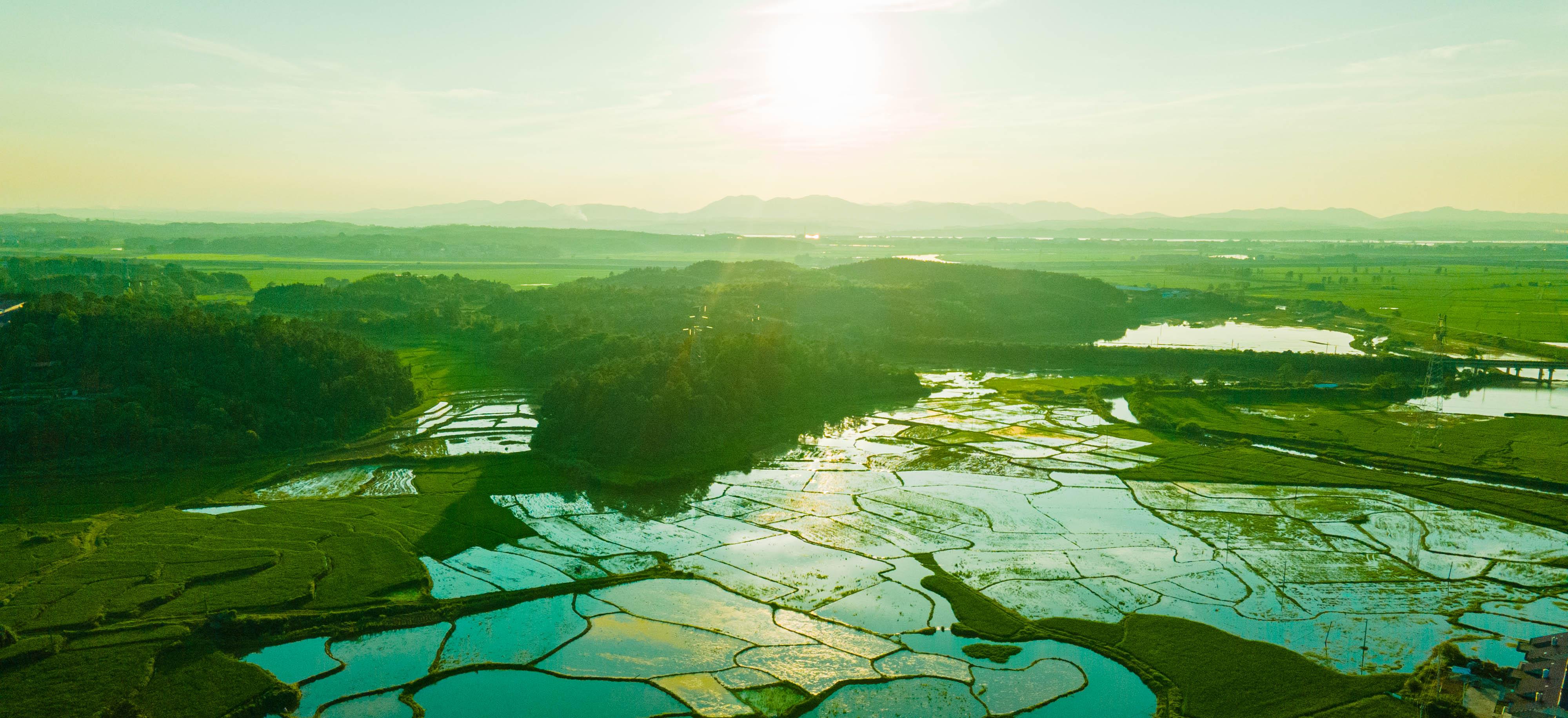 "移民佬":根在千岛湖底,家在江西农村(三)_家村_村民_伊川