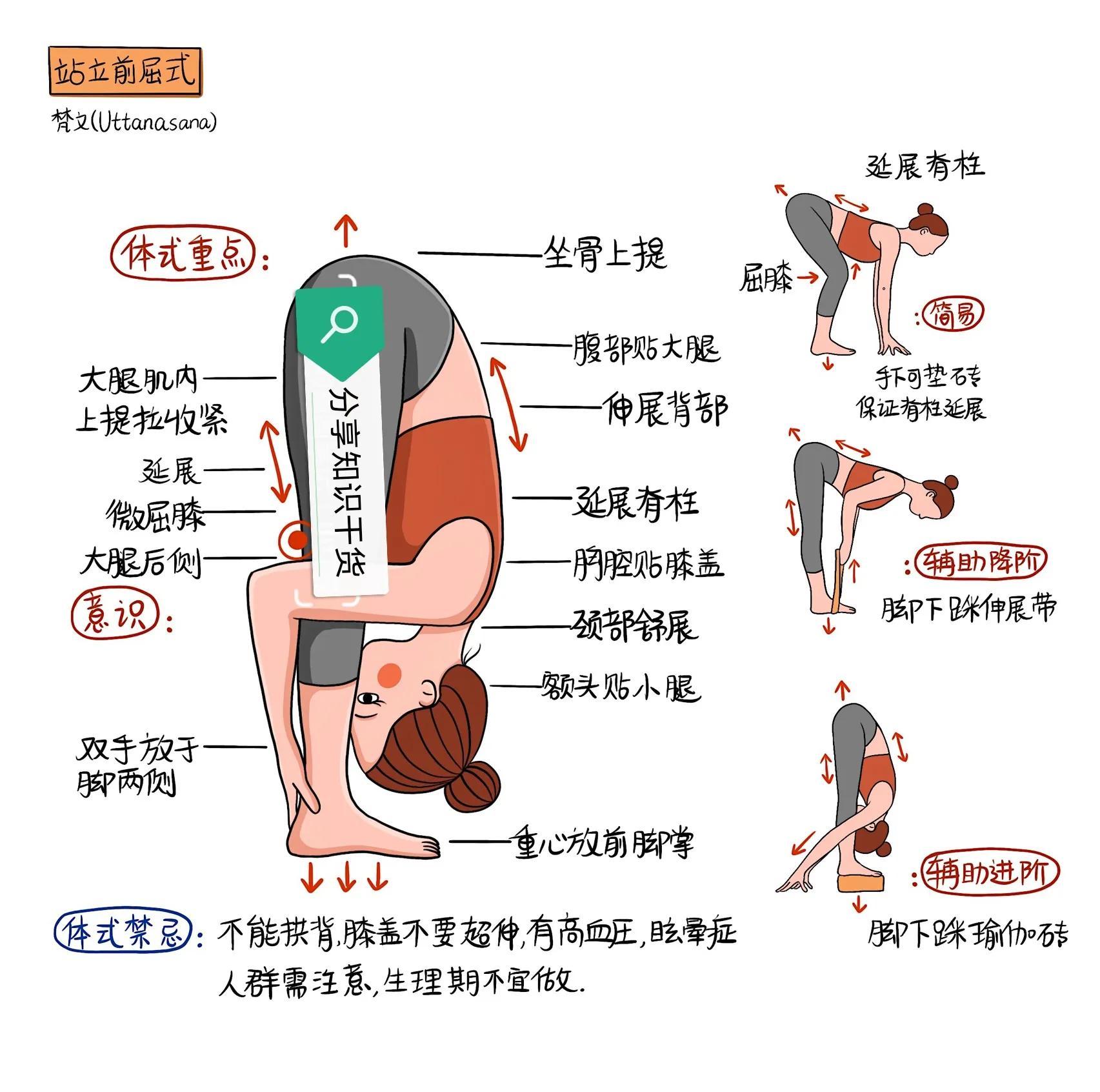 瑜伽四柱的体式图片图片