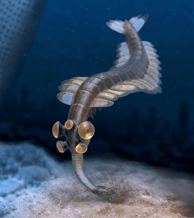 远古的五眼怪物-欧巴宾海蝎_眼睛_生物_特色