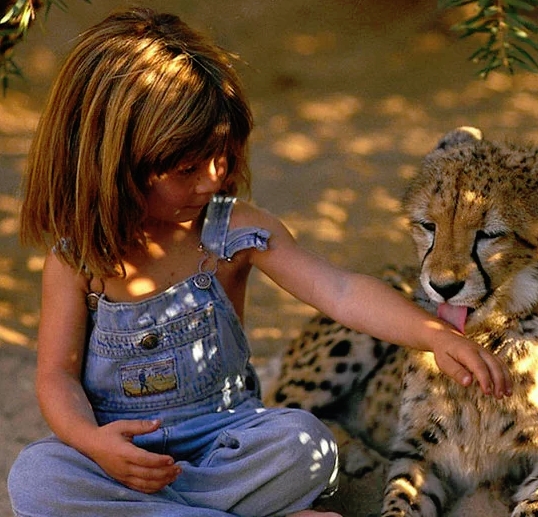 蒂皮·德格雷是一个法国女孩,她小时候在非洲的纳