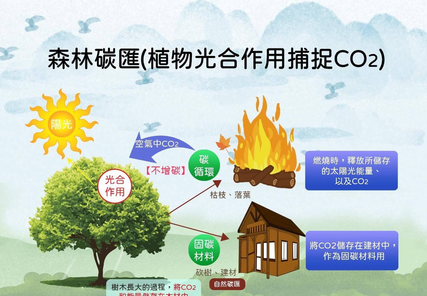 代价可能难以承受_氧气_面积_全球