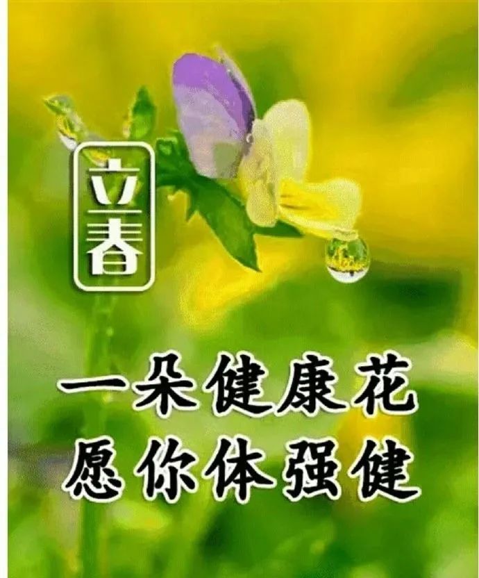 最新立春节气问候语图片合集