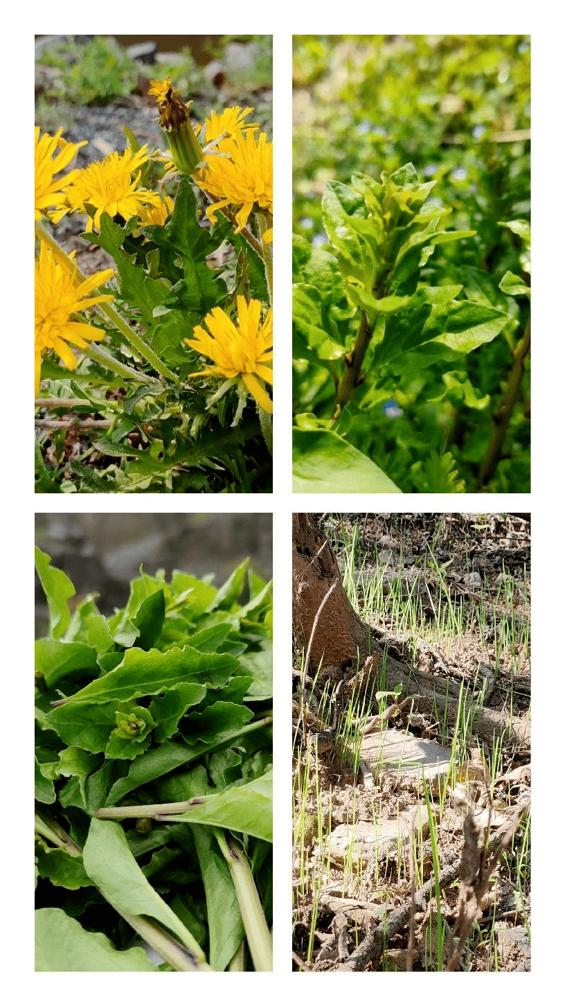 野菜_活动_讲座