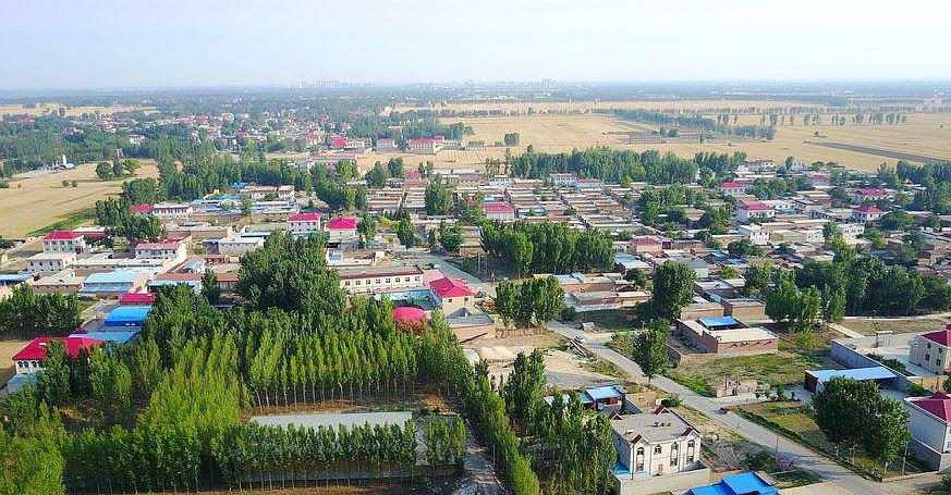 百强镇入围3个,大王镇勇夺第一,山东交上"满意答卷"_镇子_发展_评选