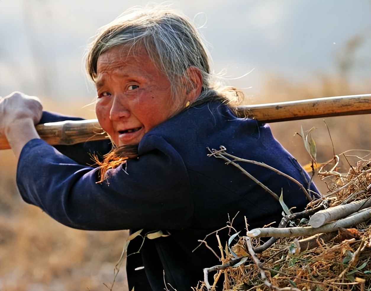 农村俗语姑死连着筋，姨死断了根，是啥意思？老话说的有理？_搜狐网