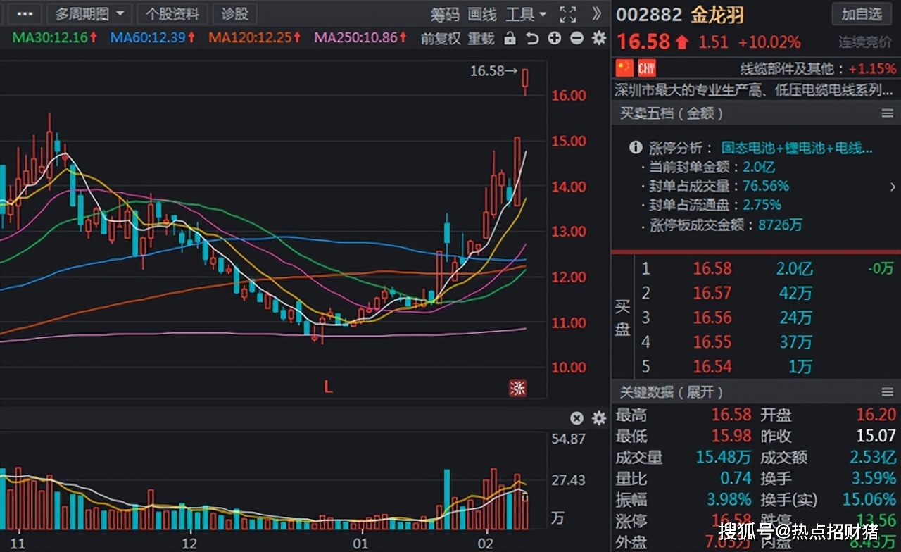 金龙羽锂电池图片