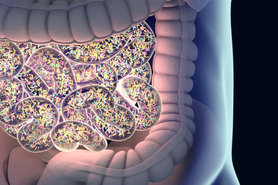 为什么肠道是人体的第二大脑？ 