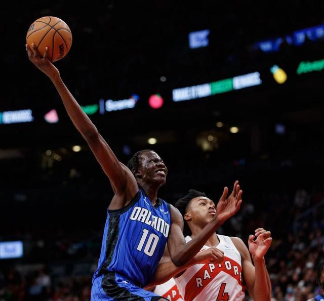 野百合也有春天!