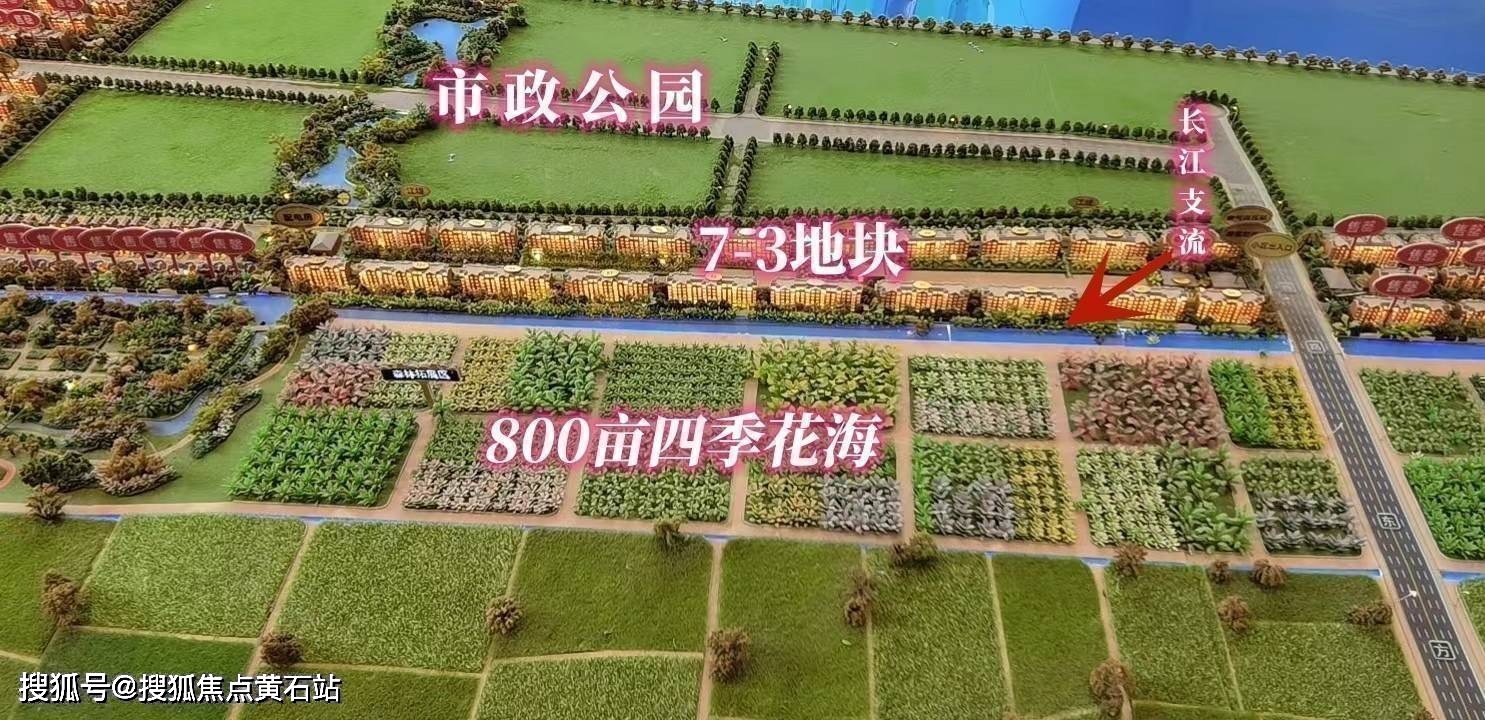 崇明岛大爱城（2023更新版）_搜狐网