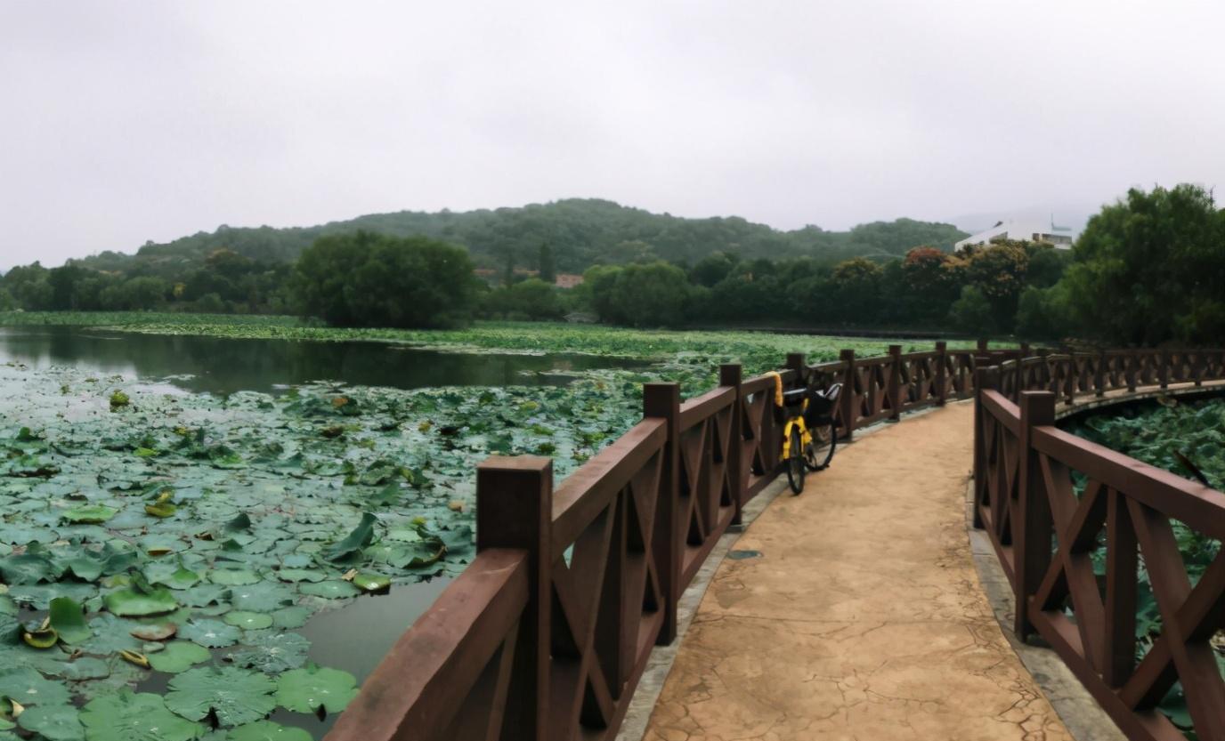 桃湖公園,在不久之前成功的開放,雖然南京的公園非常的多,但是受歡迎