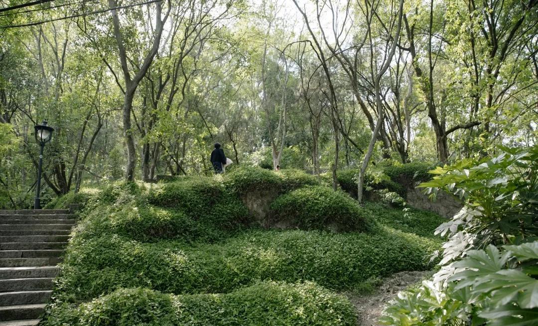 踏青指南丨春意正浓,带你逛逛这些丽水的绝美公园_广场_地址_交通