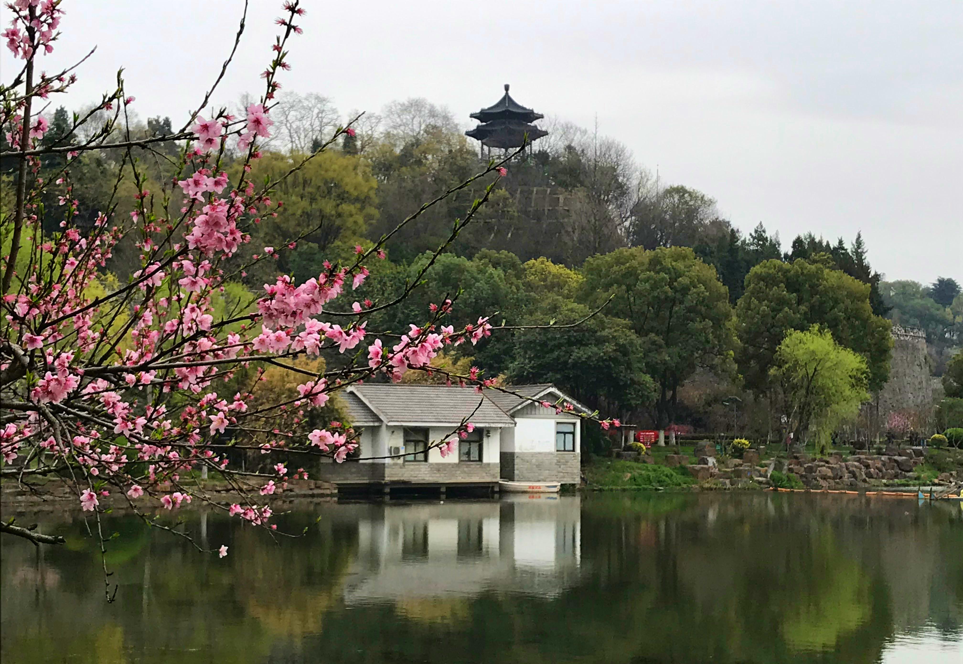 旁,桃花盛开,碧柳婀娜,红桃绿柳倒映在如镜的碧水之中,好一幅春景图