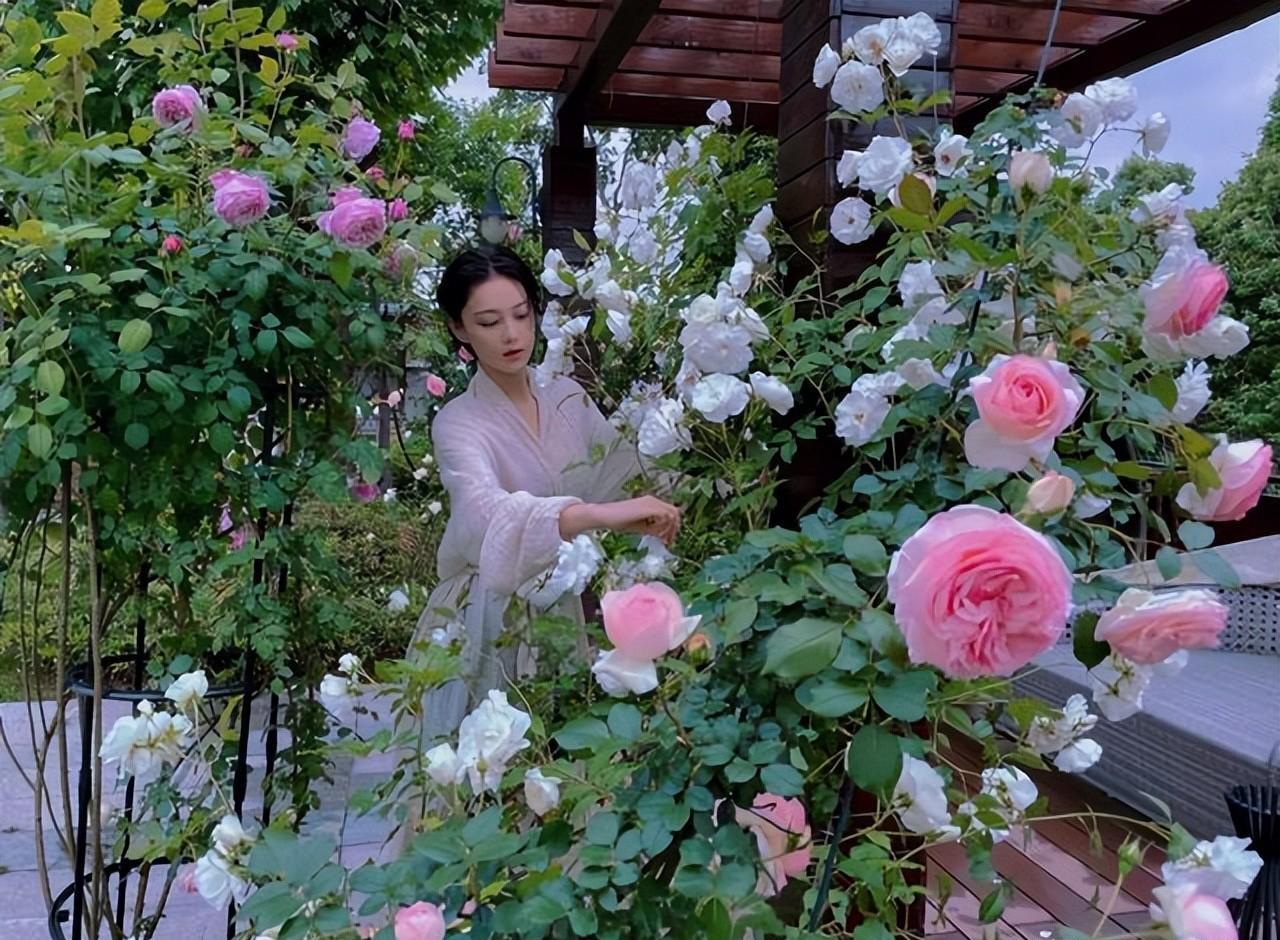 张馨予晒自家菜园火了,又种菜又养花,网友:嫁对人,太羡慕了_生活_桃子