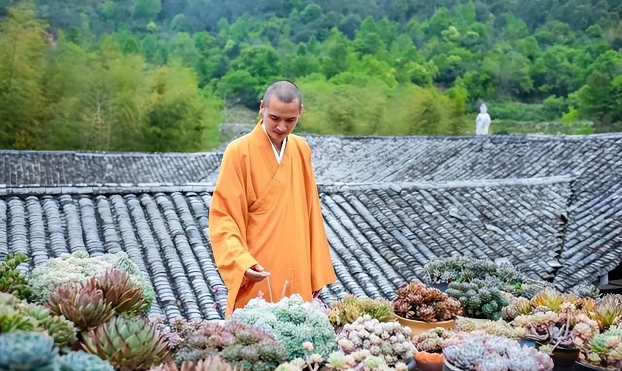 释明心寺院图片