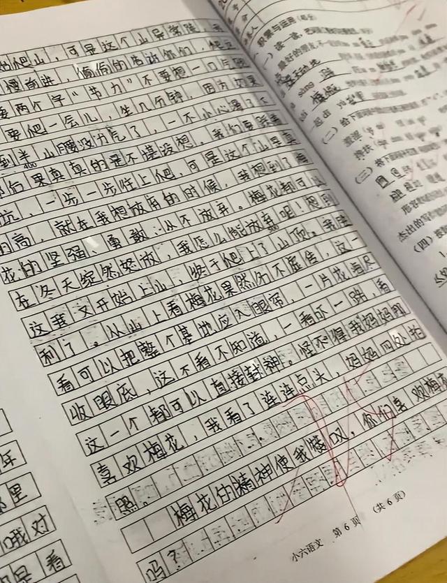 新鲜出炉（十篇600字优秀作文六年级）600字作文6年级 第4张