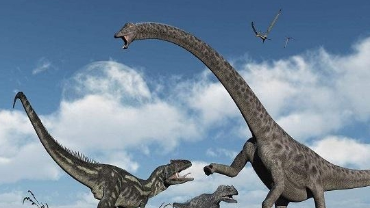 魁纣龙这是一种发现与南美洲大陆的顶级掠食者恐龙,它在众多肉食性