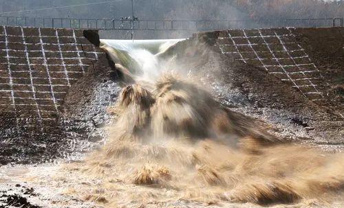 错!_巡查_河堤_堤防