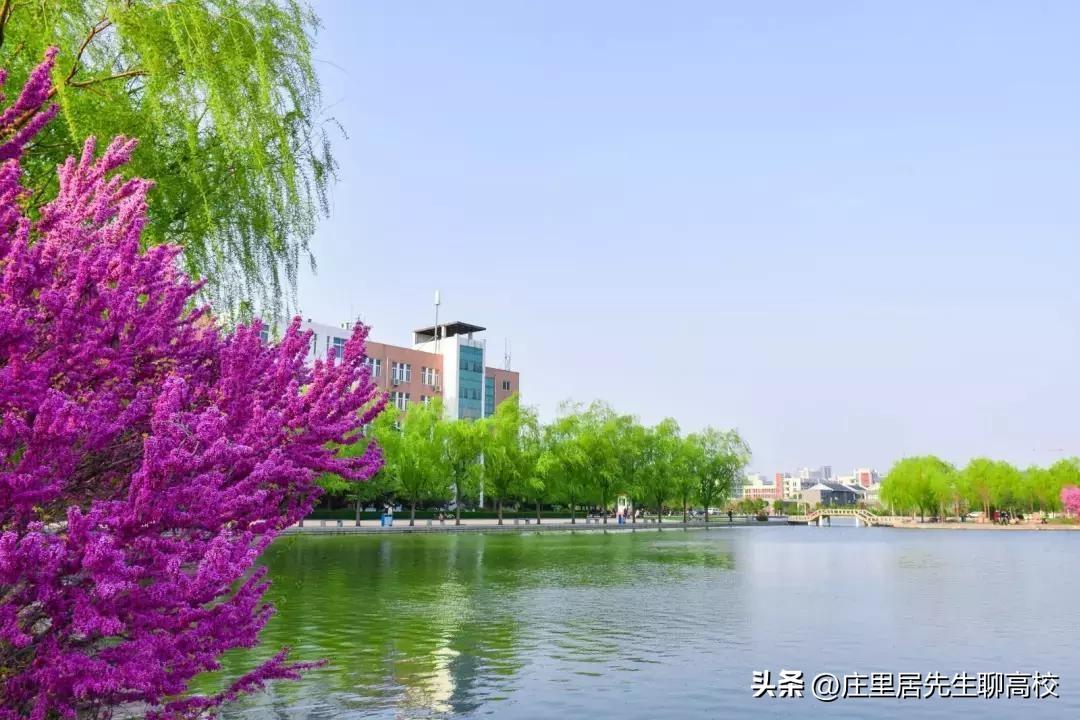 河南高校排名_河南師范大學(xué)排名_河南師范大學(xué)錄取分?jǐn)?shù)線