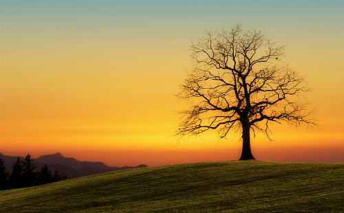 水滴筹是慈善机构吗?申请收费吗?前车之鉴给你解答_平台_患者_费用