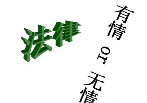 法不容情,法亦有情,理解万岁,较真太累_老人_法律_人情