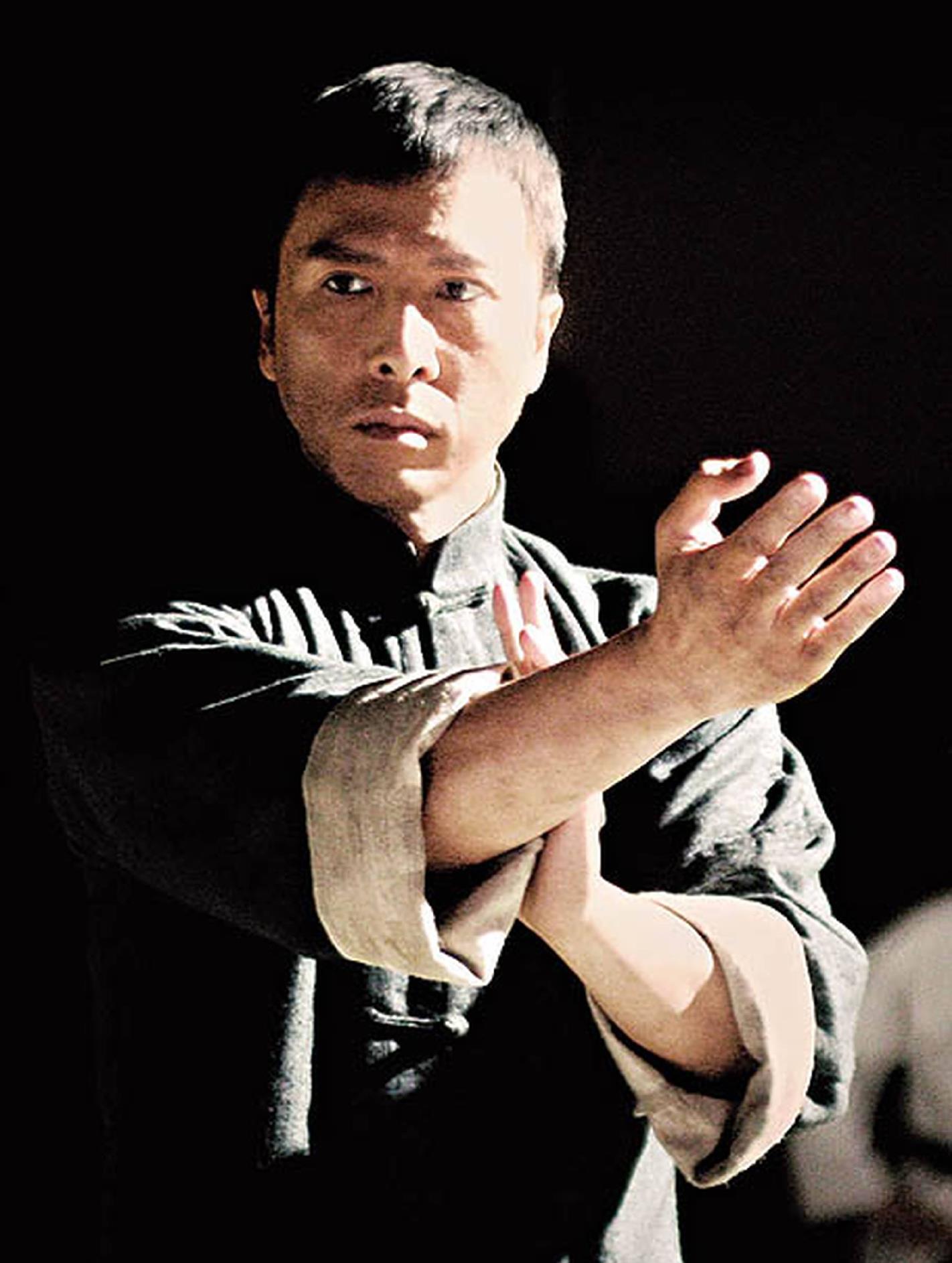 甄子丹:凭《叶问》成为国际巨星,挤身亿万片酬行列_李连杰_武术