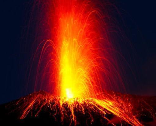 地球上最耐热的动物，把“火山”当游泳池，连科学家也想不明白(图3)